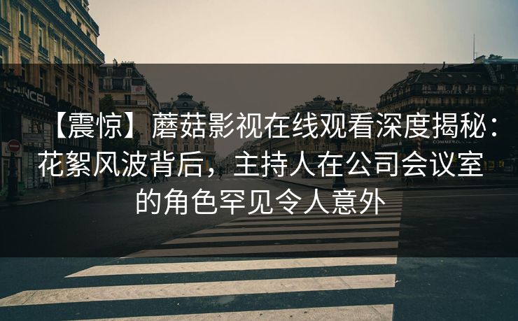 【震惊】蘑菇影视在线观看深度揭秘：花絮风波背后，主持人在公司会议室的角色罕见令人意外