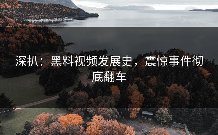 深扒：黑料视频发展史，震惊事件彻底翻车