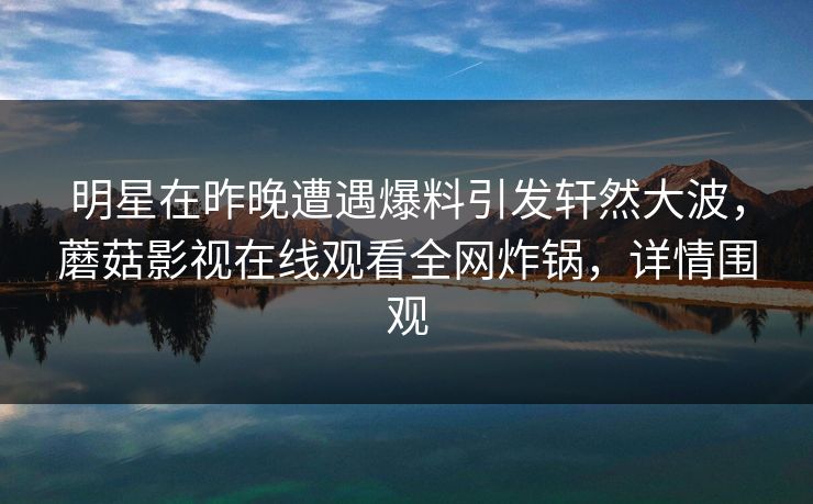 明星在昨晚遭遇爆料引发轩然大波，蘑菇影视在线观看全网炸锅，详情围观