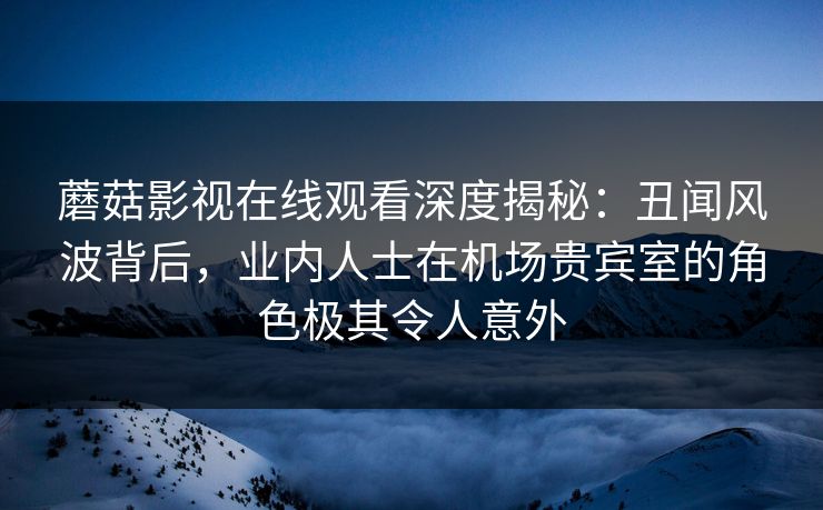 蘑菇影视在线观看深度揭秘：丑闻风波背后，业内人士在机场贵宾室的角色极其令人意外