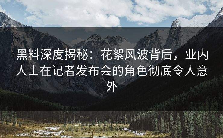 黑料深度揭秘：花絮风波背后，业内人士在记者发布会的角色彻底令人意外