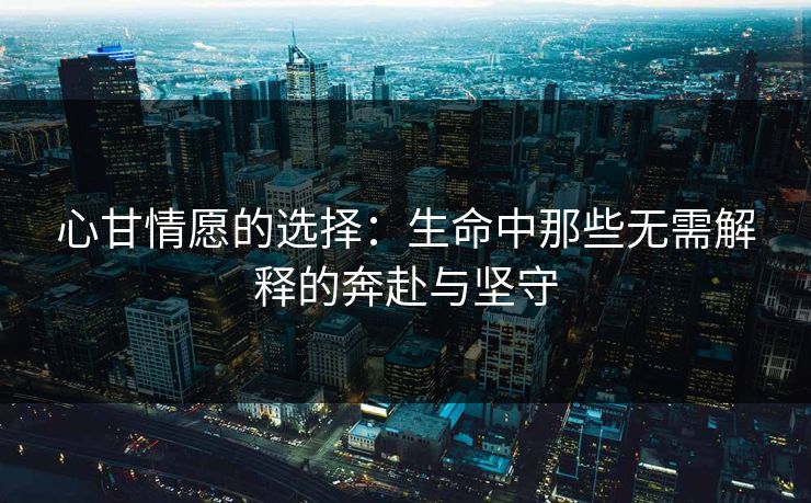 心甘情愿的选择：生命中那些无需解释的奔赴与坚守