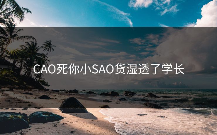CAO死你小SAO货湿透了学长
