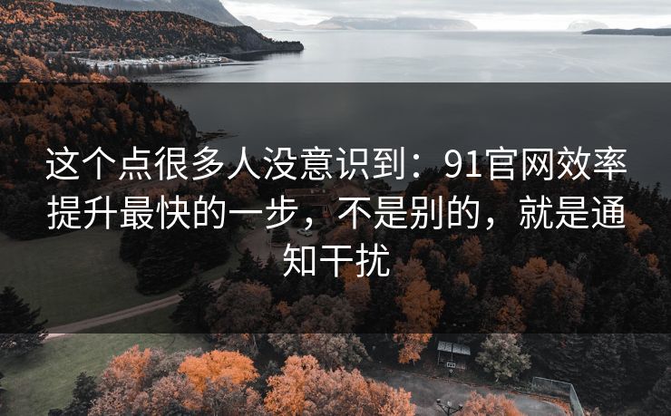 这个点很多人没意识到：91官网效率提升最快的一步，不是别的，就是通知干扰
